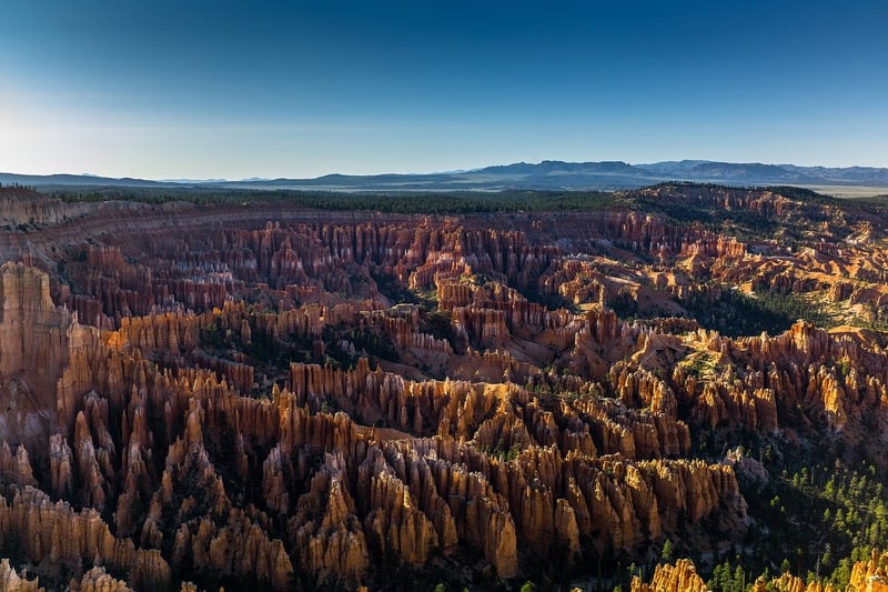 Alien Landscape